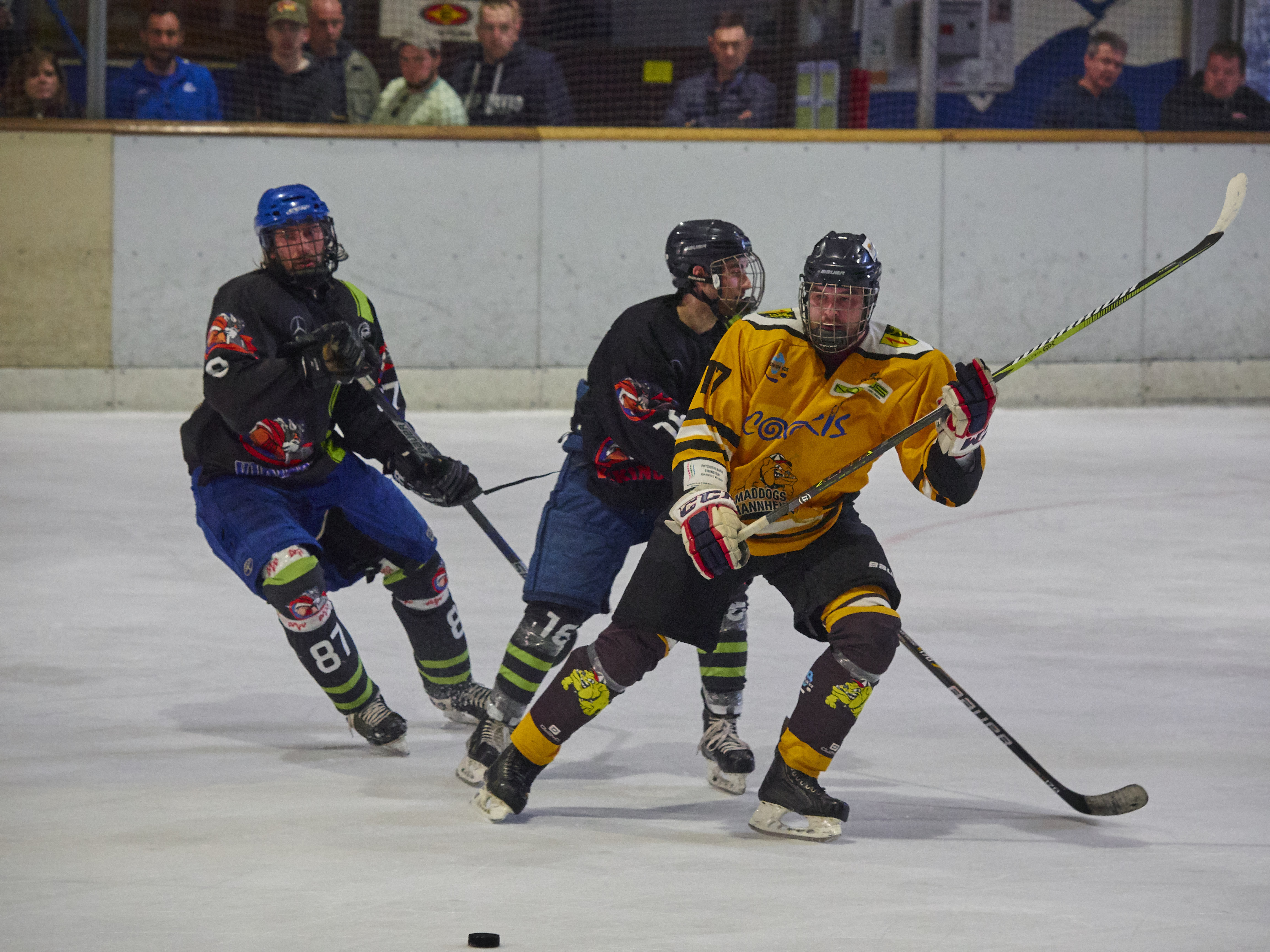 DPL Finale 2018 P4081150